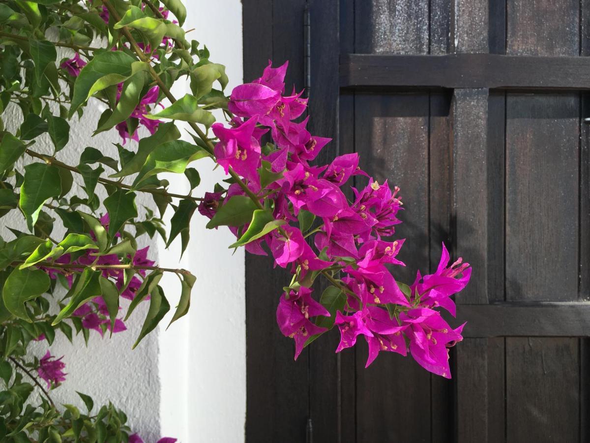 Villa De La Luz Luxury Guesthouse El Portil Ngoại thất bức ảnh